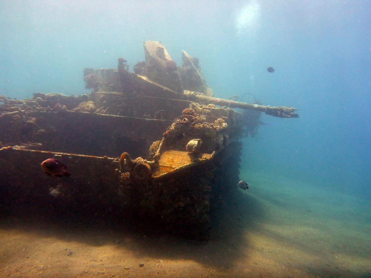 Bait Alaqaba Dive Center & Apartament *