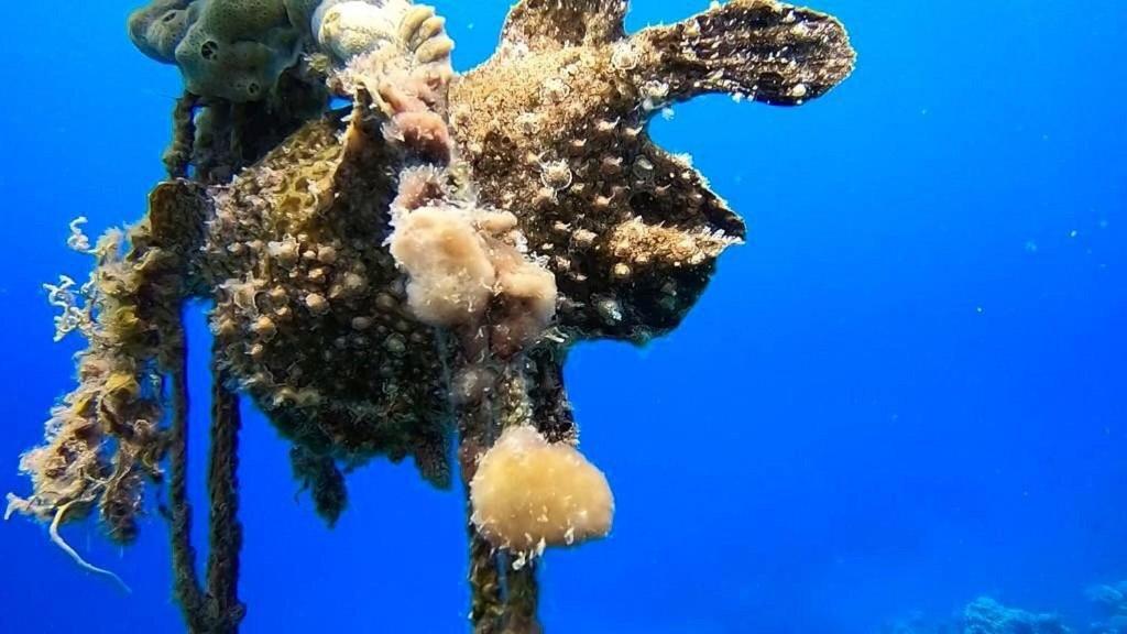 Bait Alaqaba Dive Center &