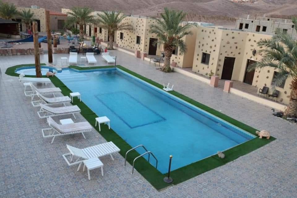 Bait Alaqaba Dive Center & Apartament