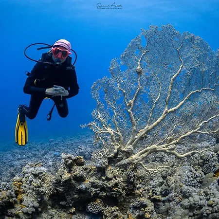Bait Alaqaba Dive Center & Resort Exterior photo