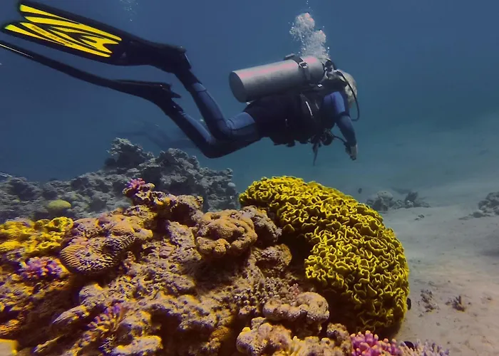 Bait Alaqaba Dive Center & Resort