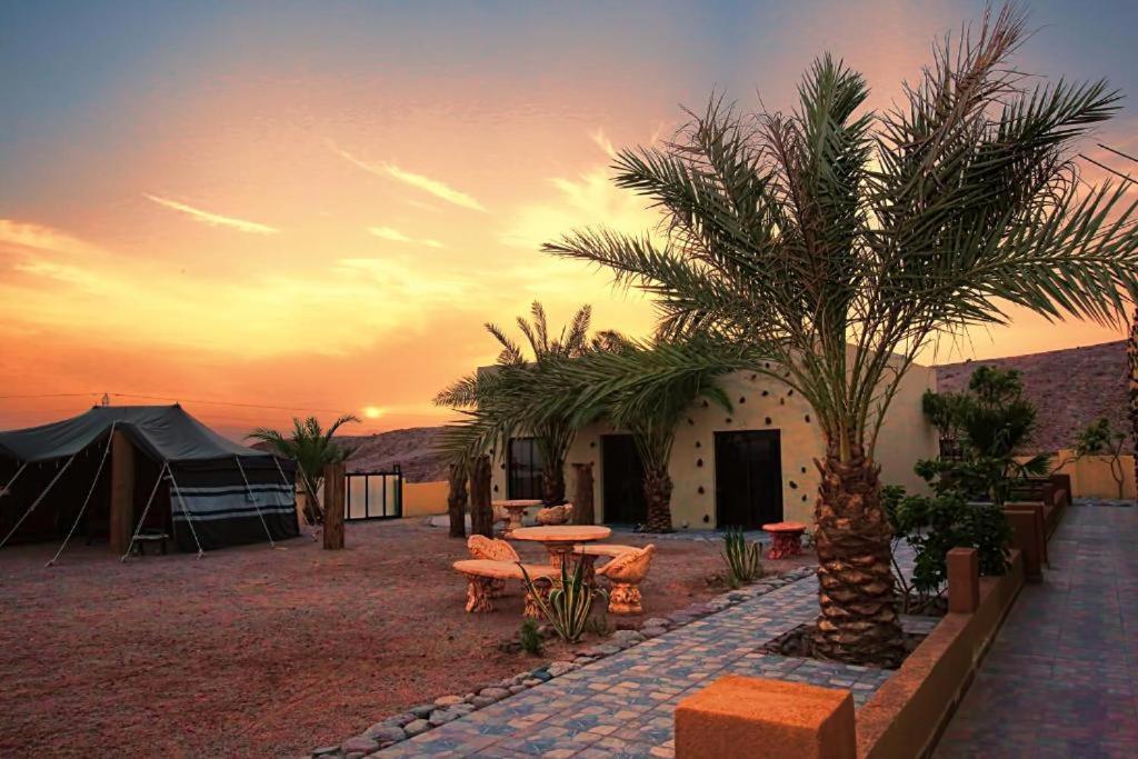 Bait Alaqaba Dive Center & Apartment Aqaba