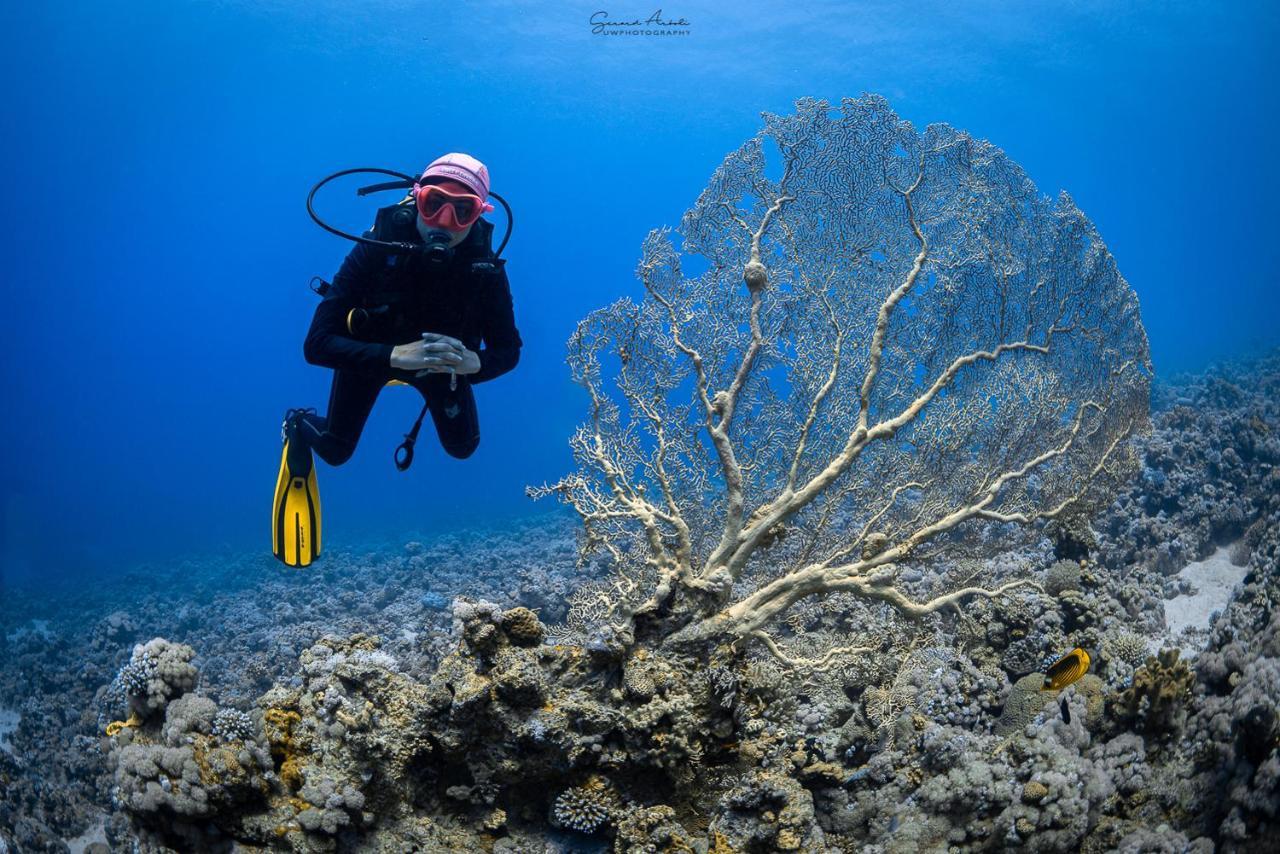 公寓 Bait Alaqaba Dive Center & Aqaba