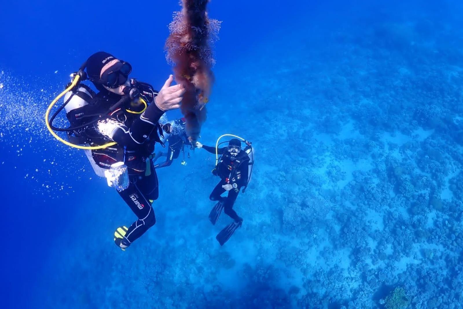 Bait Alaqaba Dive Center & *