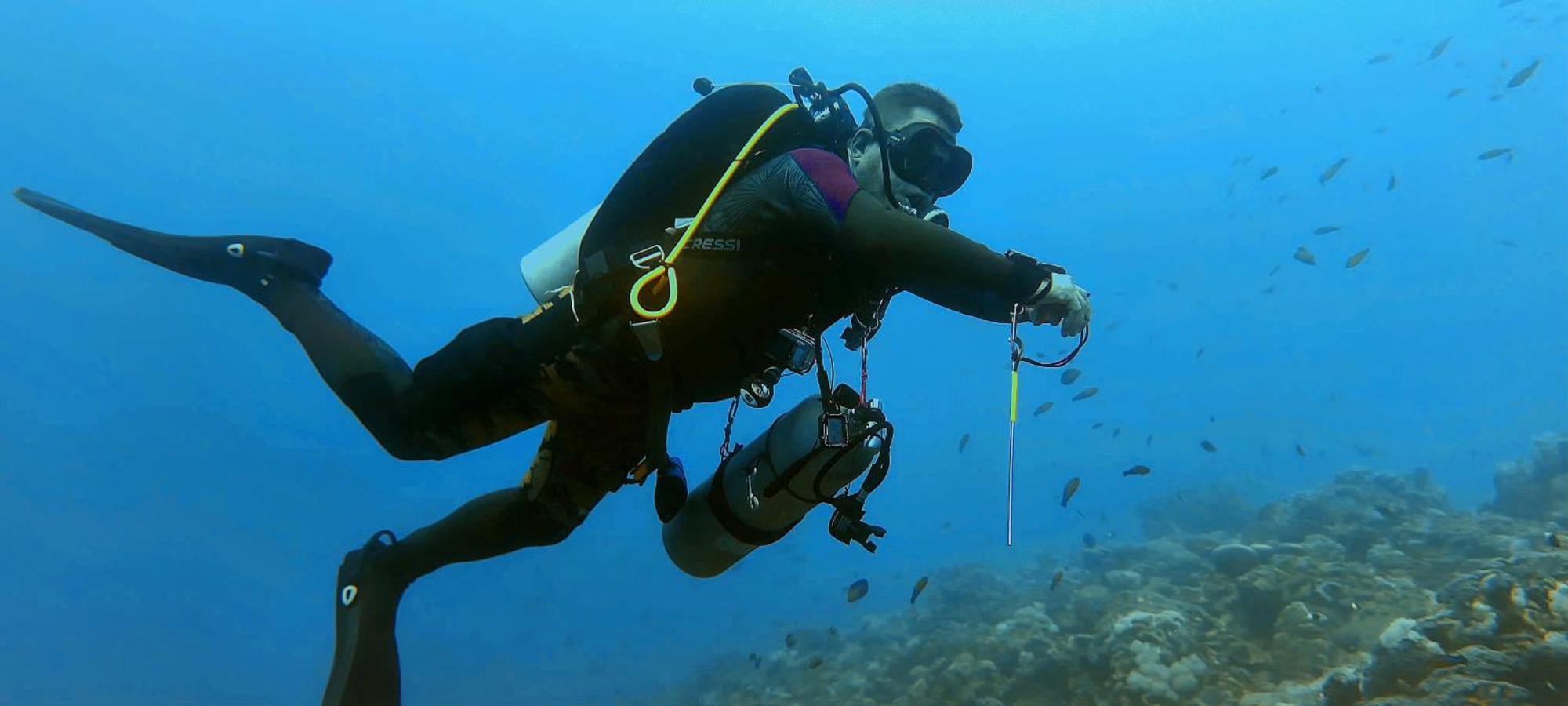 Bait Alaqaba Dive Center & Aqaba
