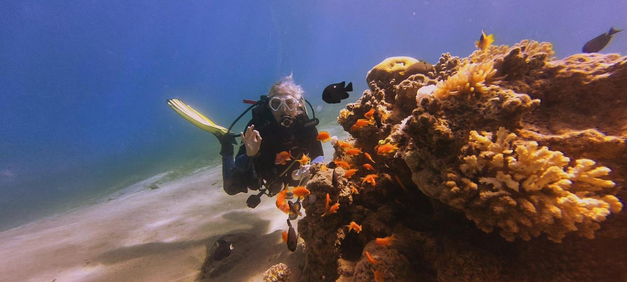 公寓 Bait Alaqaba Dive Center & Aqaba