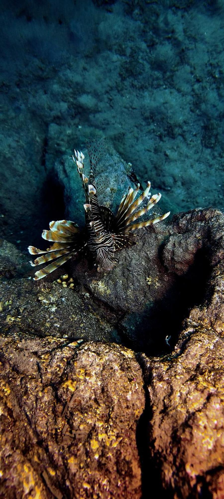 公寓 Bait Alaqaba Dive Center & *