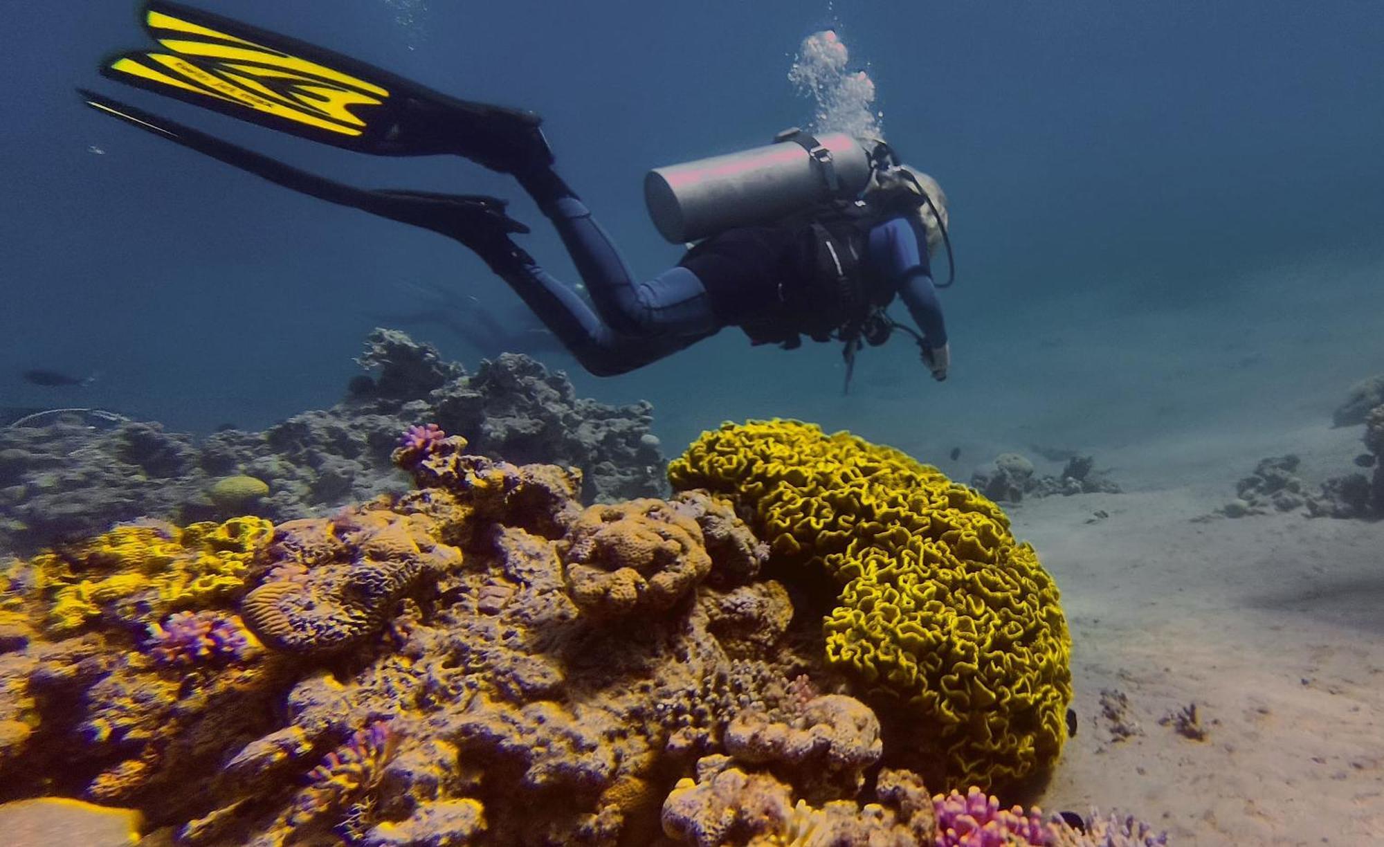 公寓 Bait Alaqaba Dive Center &